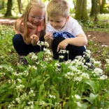 girl and boy in woods looking at wild garlic.